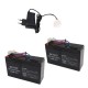 Batterie compatible Anatec catamaran et monocoque (par 2) et chargeur plomb