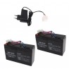 Batterie compatible Anatec catamaran et monocoque (par 2) et chargeur plomb